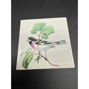 Vintage‎ Ceramic Tile Rose-Breasted Grosbeak Bird Nature Glazed Square Wall Art